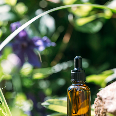 Meet trends of the season